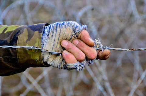 Hand holding barbed wire 