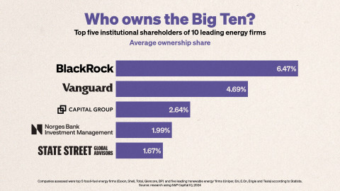 SoP-infographics 8 - Top five institutional shareholders
